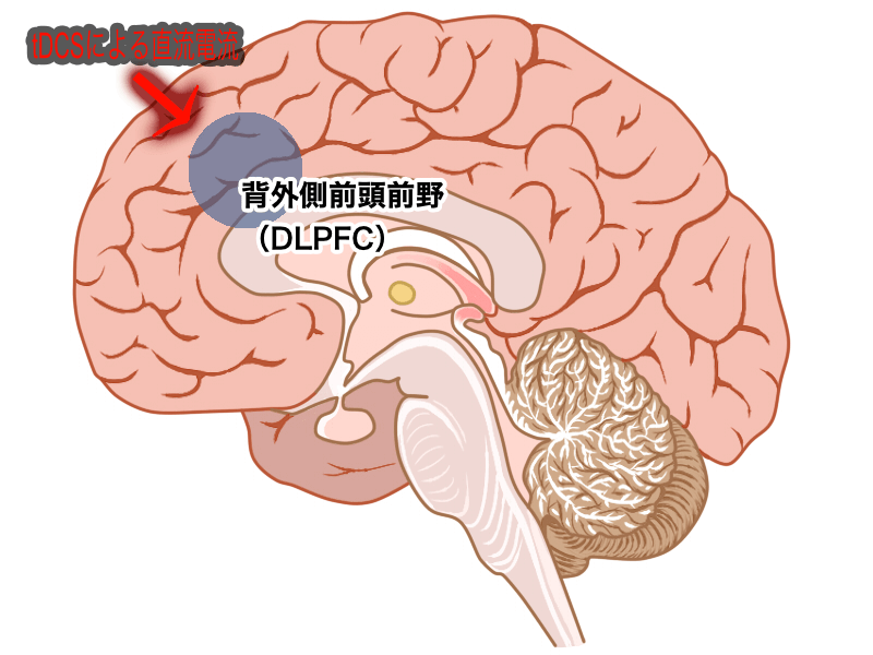 TDCS機序説明